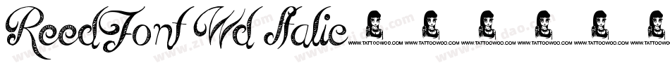 ReedFont Wd Italic字体转换